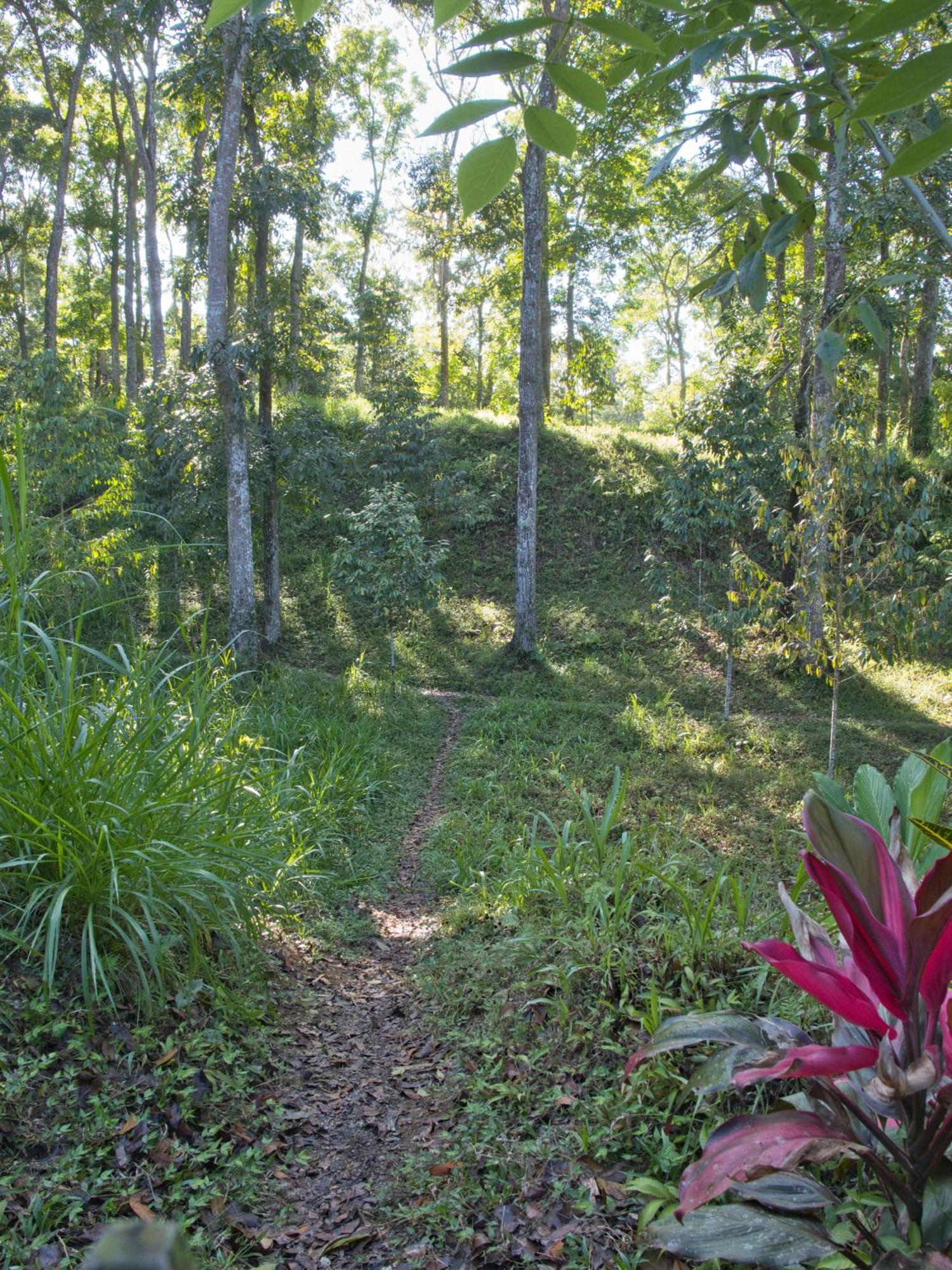 Tereng Wilis Jungle Inn Tetebatu Dış mekan fotoğraf