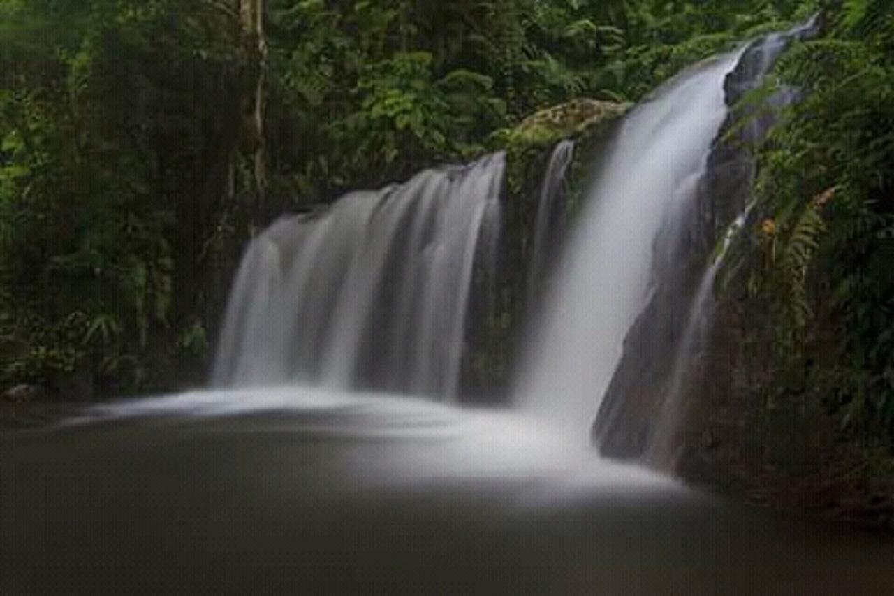 Tereng Wilis Jungle Inn Tetebatu Dış mekan fotoğraf