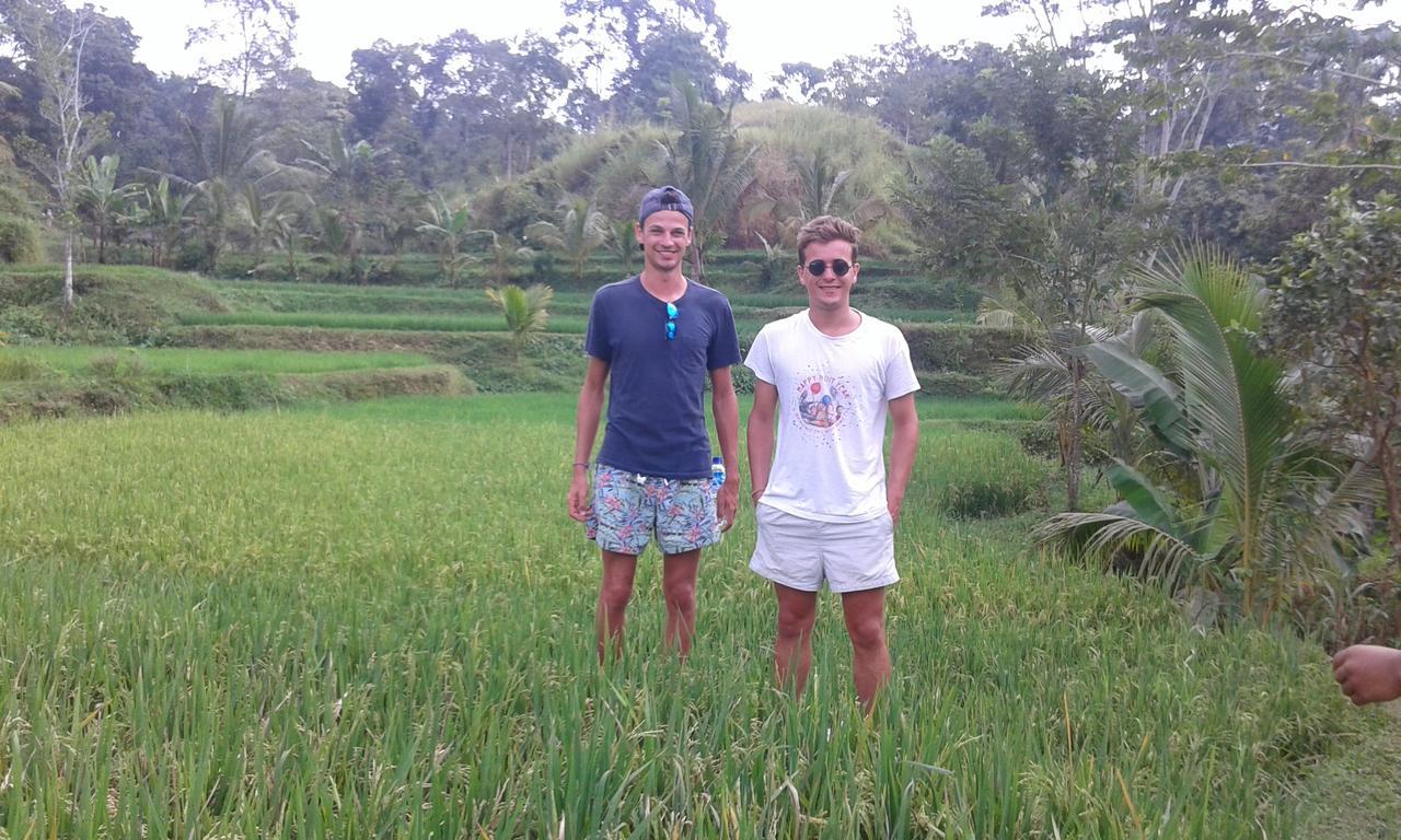 Tereng Wilis Jungle Inn Tetebatu Dış mekan fotoğraf