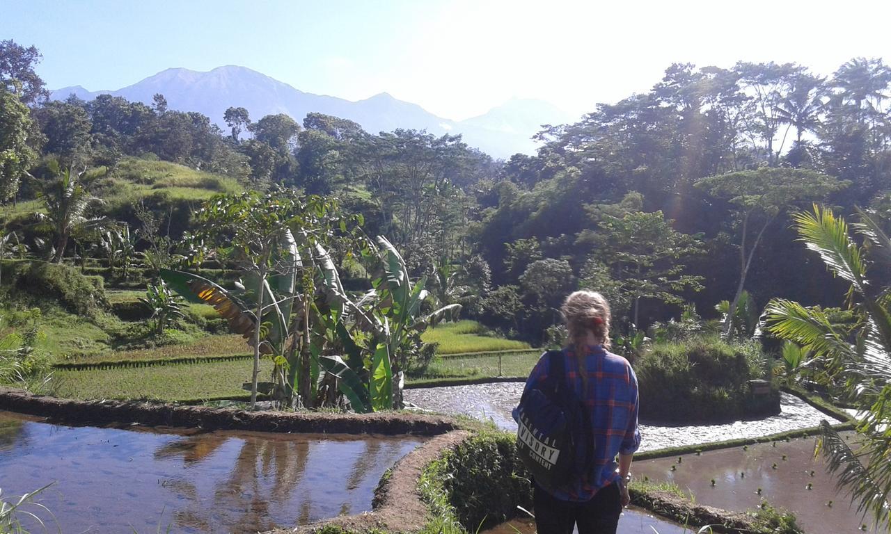 Tereng Wilis Jungle Inn Tetebatu Dış mekan fotoğraf