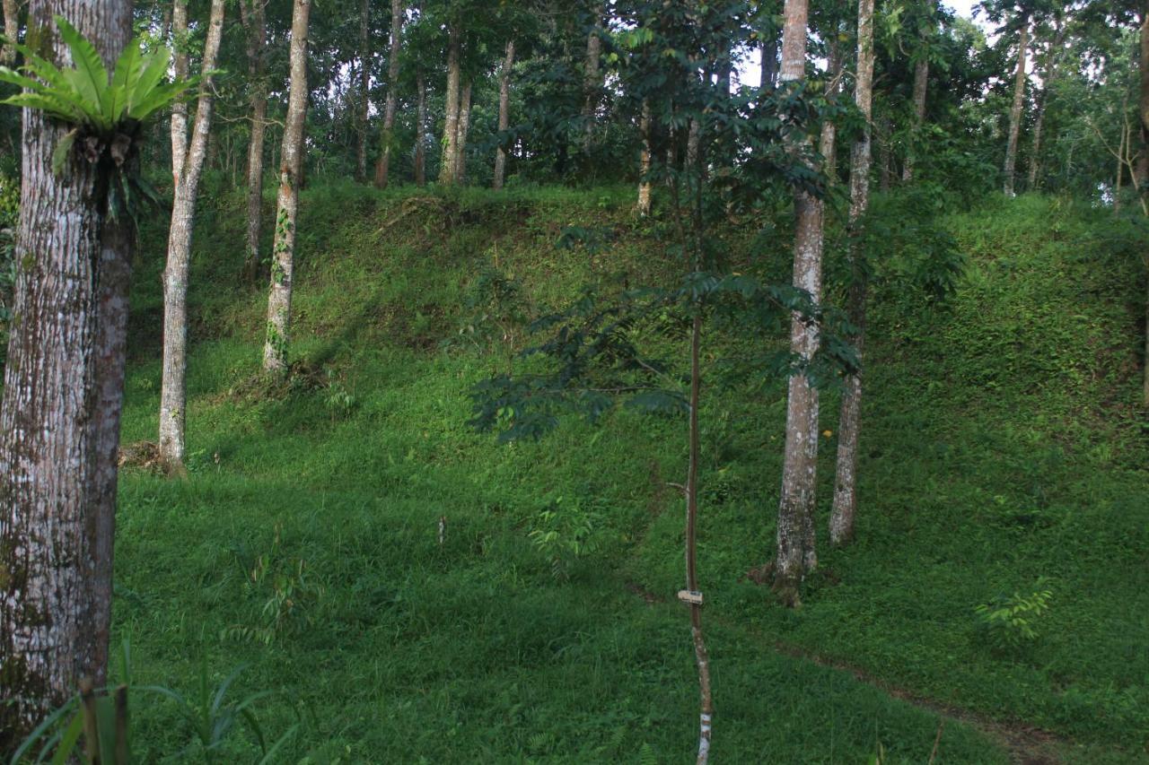 Tereng Wilis Jungle Inn Tetebatu Dış mekan fotoğraf