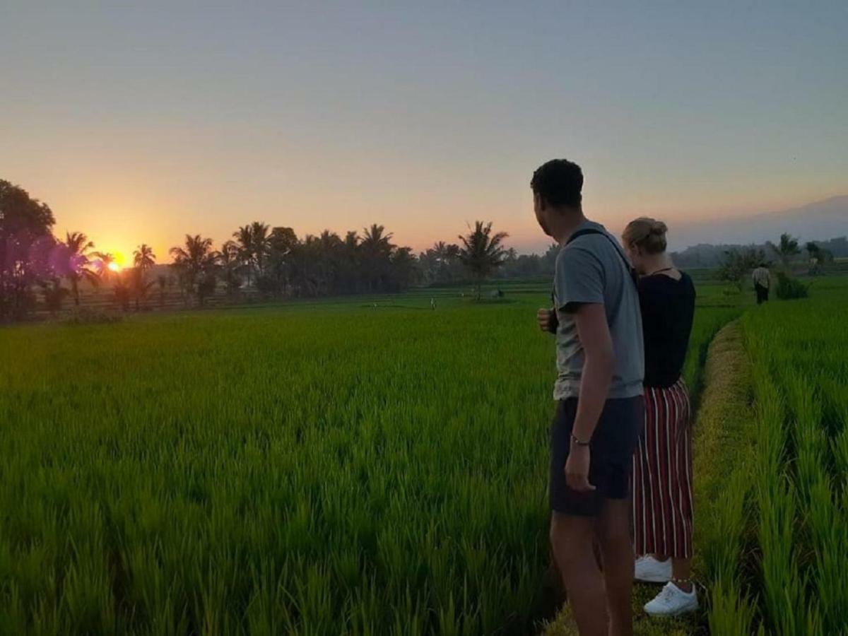 Tereng Wilis Jungle Inn Tetebatu Dış mekan fotoğraf