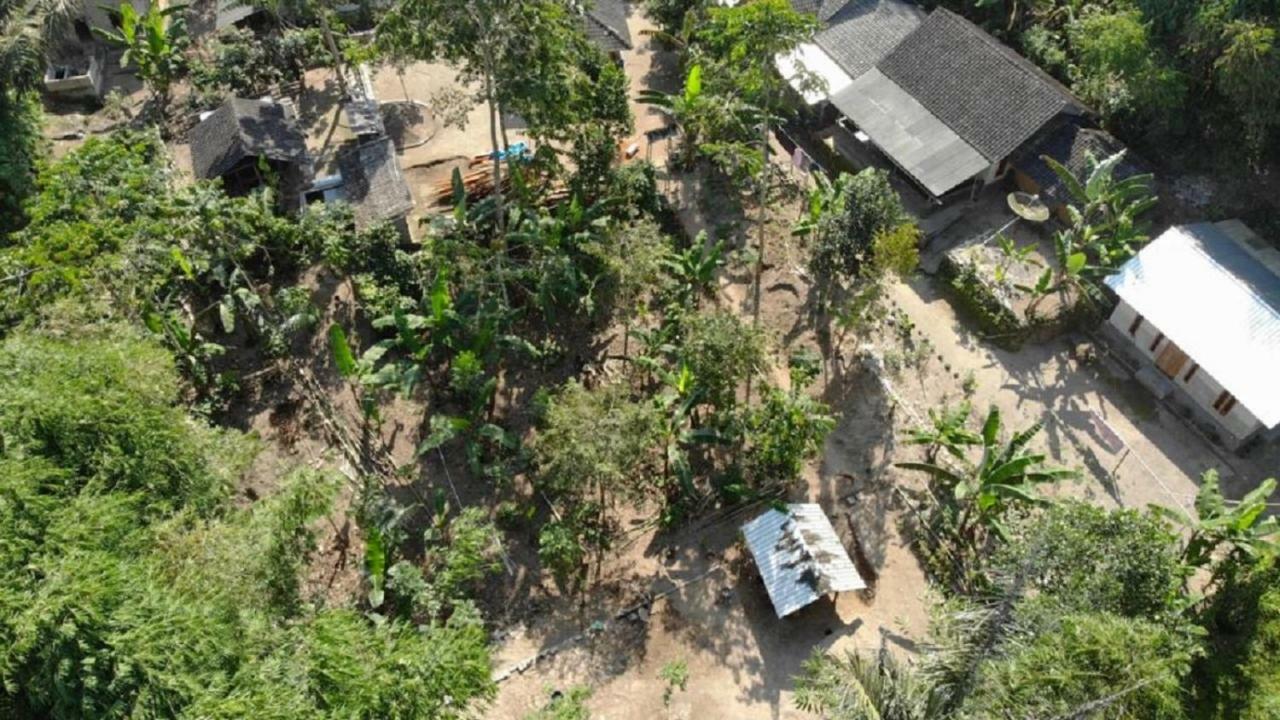 Tereng Wilis Jungle Inn Tetebatu Dış mekan fotoğraf